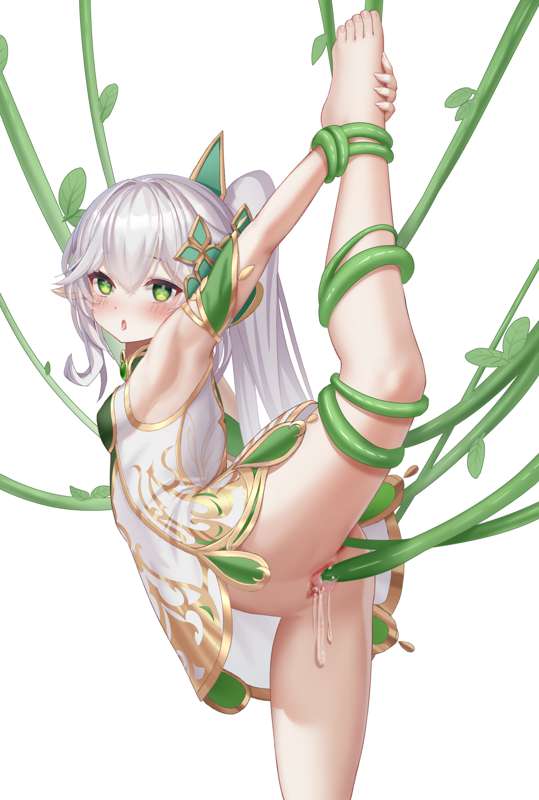 草啊0014.jpg