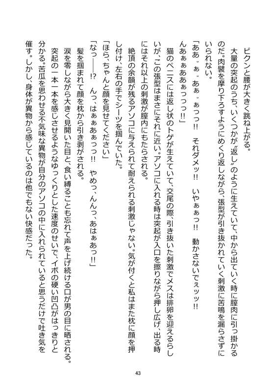 78ba23c9-ee4b-452d-aa3d-69e3545b5b27.jpg