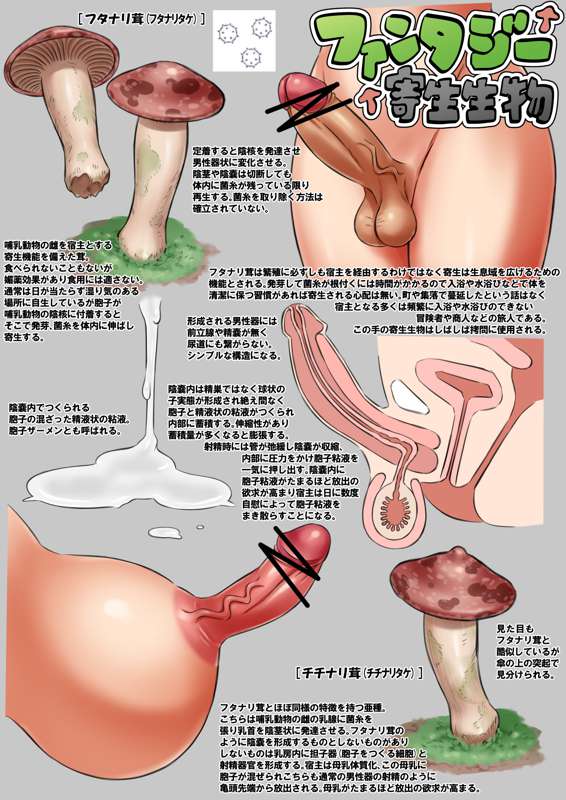 3c71ba3b-df4b-41a0-86ea-38250145d8f7.jpg