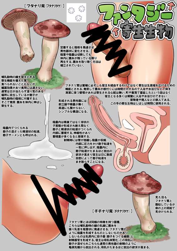 56d244cd-a5c3-4fc8-987e-a6345d89e36e.jpg