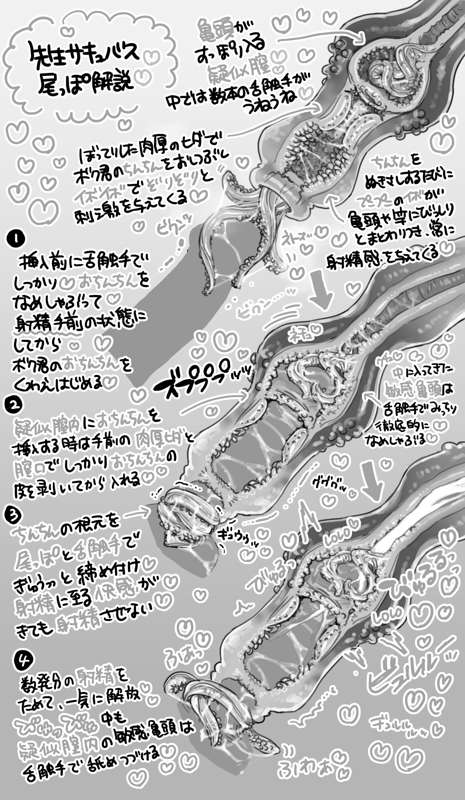 0a1b54b0-5ead-47e8-a005-7b0a7afab9e9.jpg
