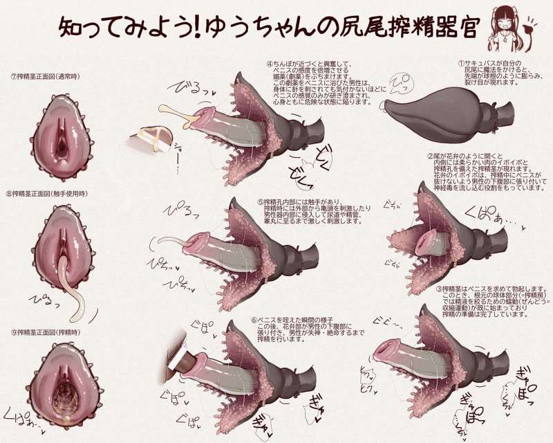 cc44063e-6c27-4cde-9e76-3dd87e8bf9f2.jpe