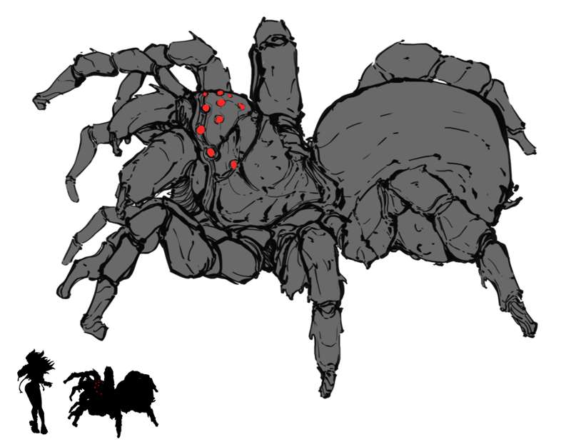 Mygalomorph w Scale.png