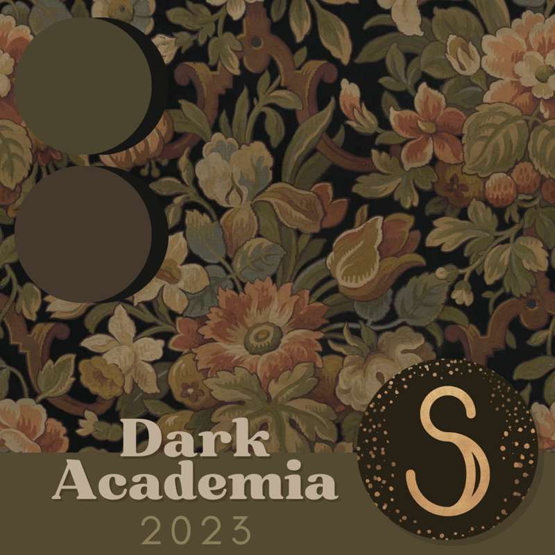Dark Academia — Sims4Luxury
