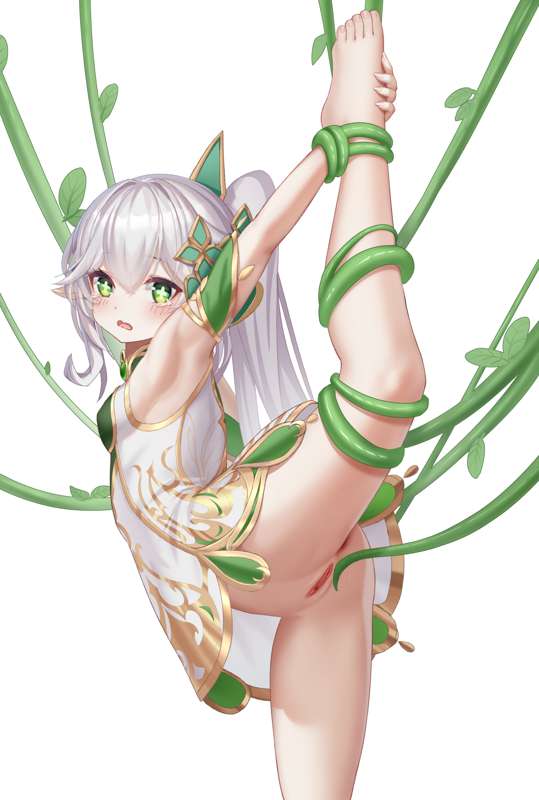草啊0003.jpg