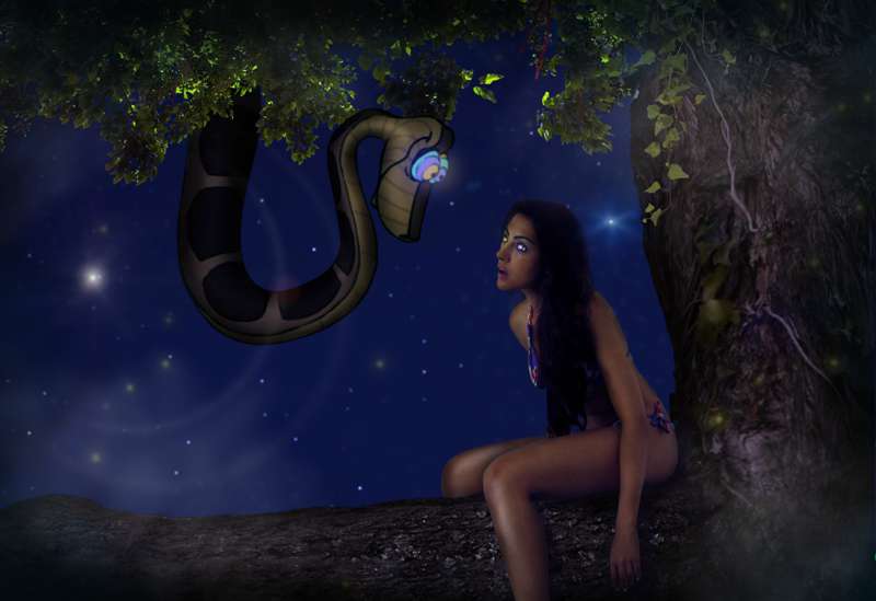 Kaa-Example---Night.png