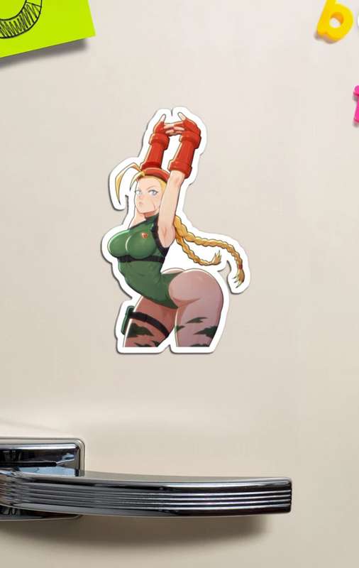 FighterMagnet.png