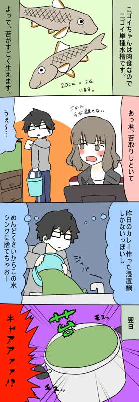 bffeb209-d017-479d-b225-30c52b519231.png