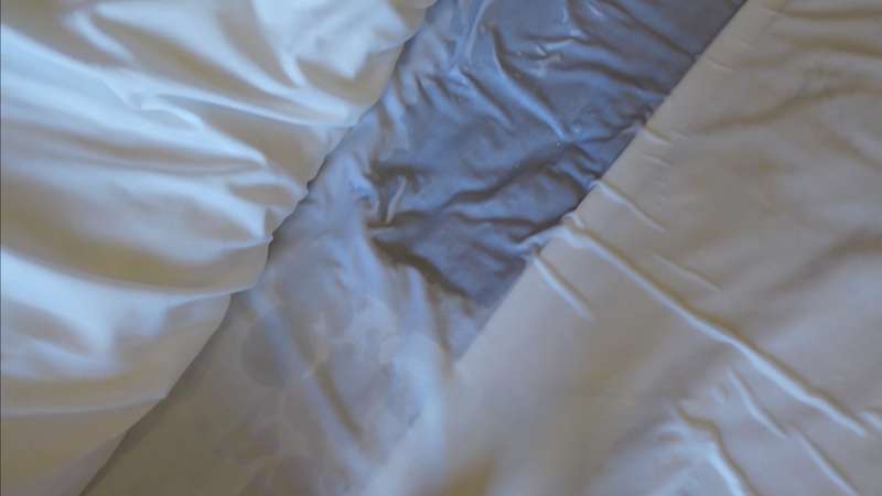 83b3233d-7eb9-4d6c-95c5-584cad27dad4.jpg