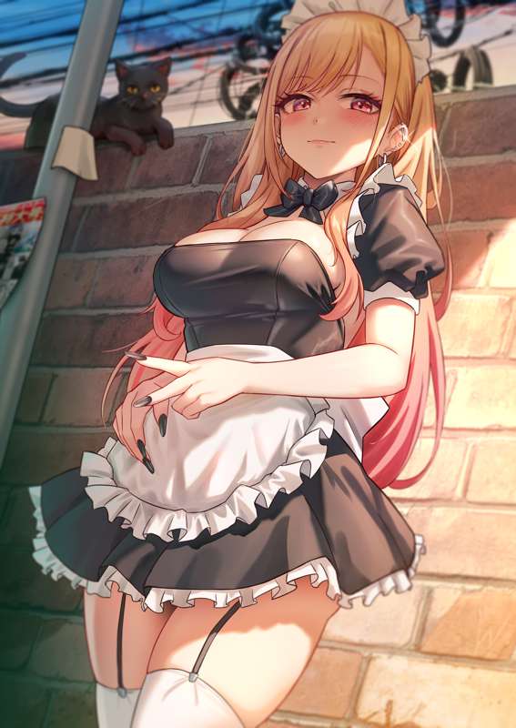 e1776b8c-fa6a-4a36-86a9-9cf53904a123.png