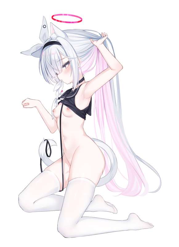 plana4.png