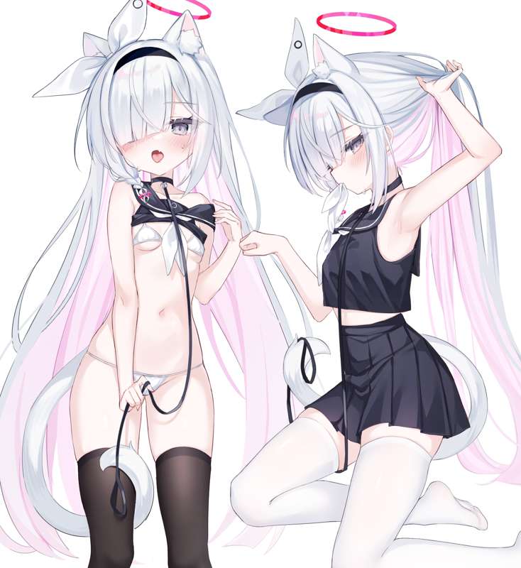 plana1.png
