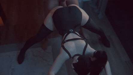 httpsthcf3.redgifs.comNegativeFelineAdeliepenguin-size_restricted.gif