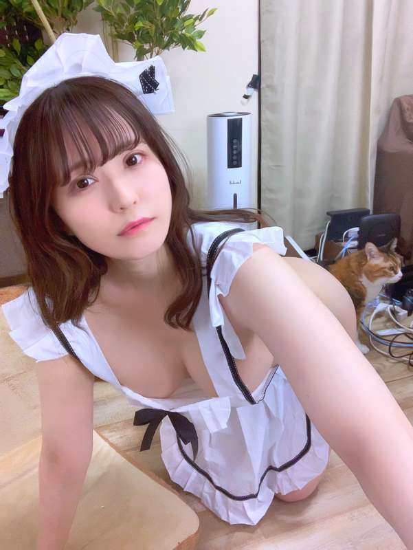 077f986e-e5fc-4b4c-97df-af3eaf5d577b.jpg