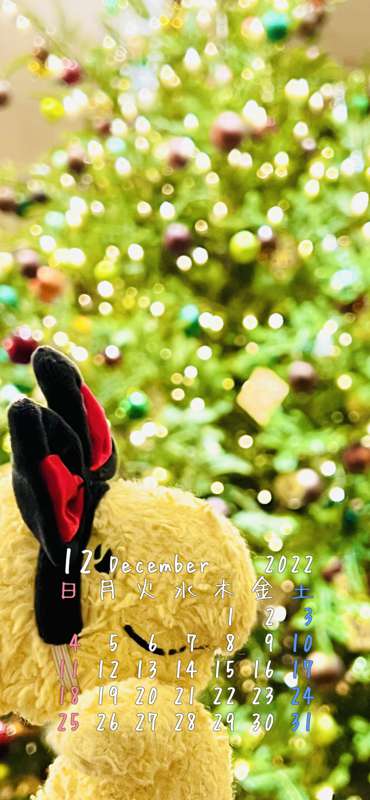 8f2656a7-2e88-4bca-b4bf-24f7199406c3.jpg