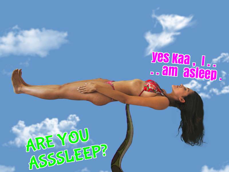 Kaa-Example---Day-1.png