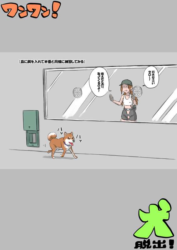 c70378a5-aa41-4ba3-a6de-5c77bfa91bea.jpg