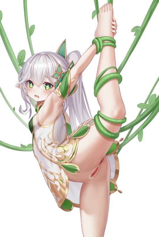 草啊-白毛01.jpg