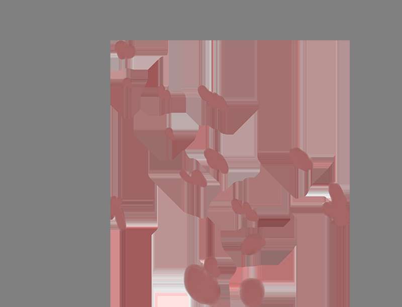 ef753a8f-ccde-4d4a-96ad-a051beb9a1c7.png