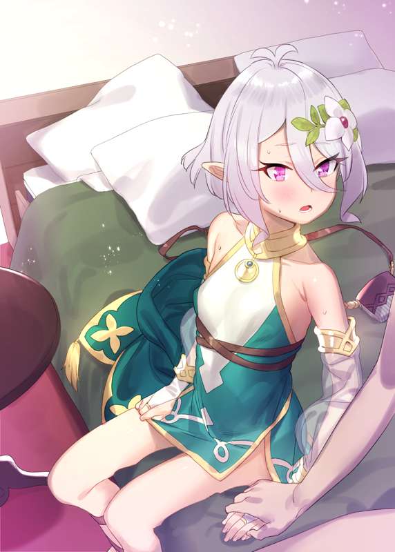 コッコロ2.jpg