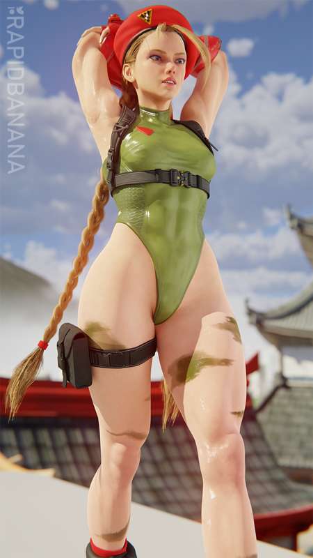 Cammy 720.png