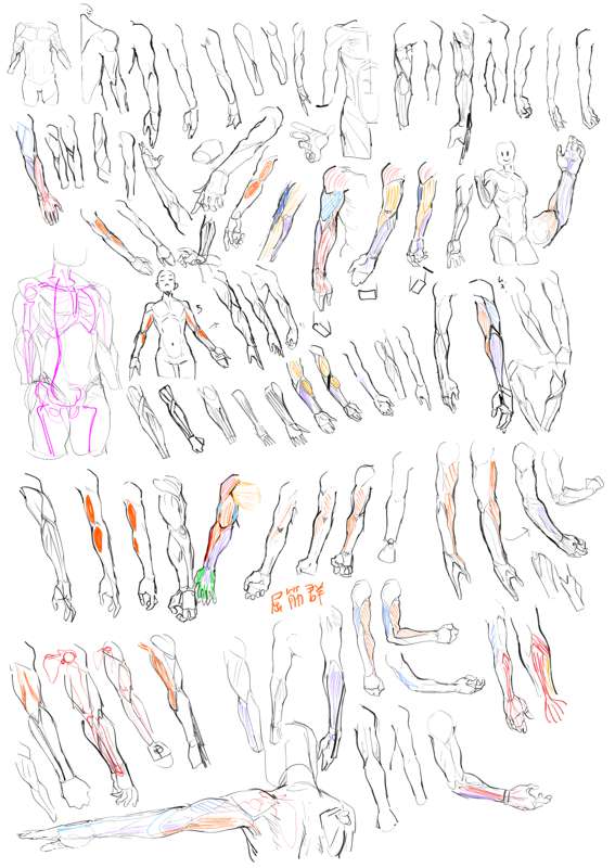 fdbda280-f5f5-4b3e-acda-bf5f241dffd5.png