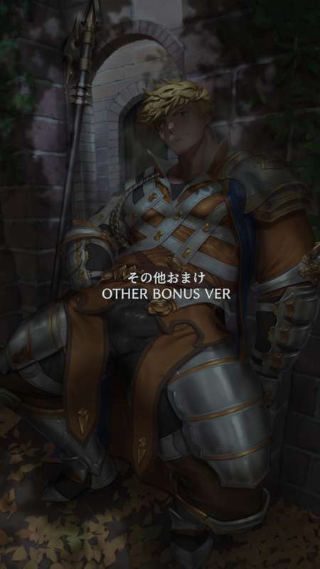 その他おまけ_説明.png